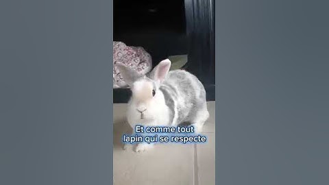 No video title fdown net 2