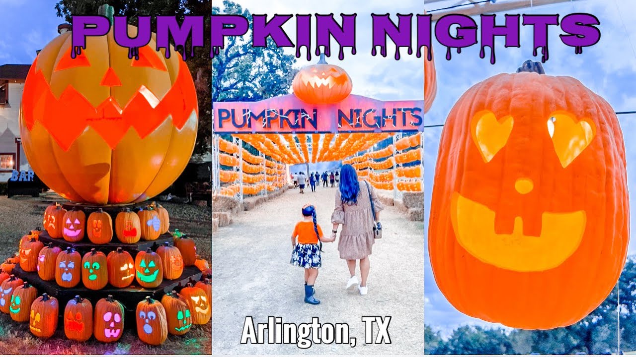 Pumpkin Nights Arlington, TX VLOG at the pumpkin patch Daisy Hearts