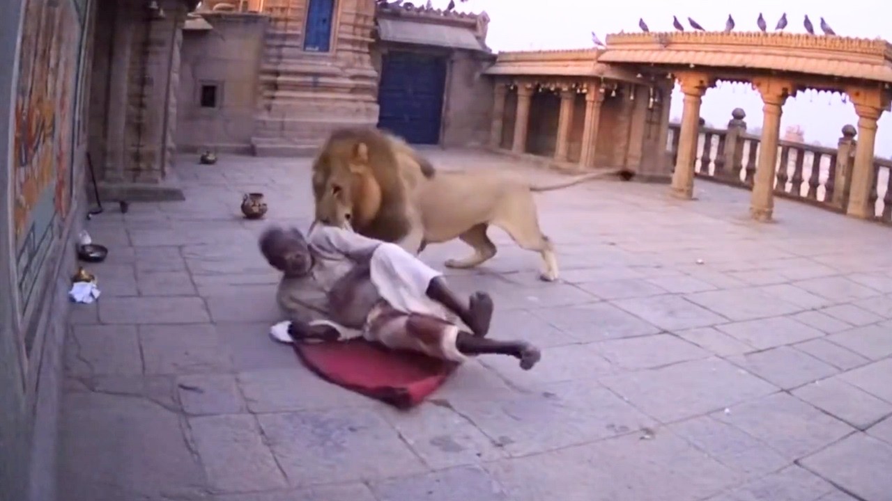 Un sur cent mille : La nature dans des instants rares et surprenants