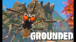 Grounded e102 - Pinecones
