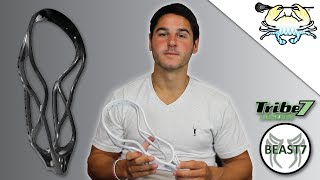 Review: Tribe 7 Beast 7