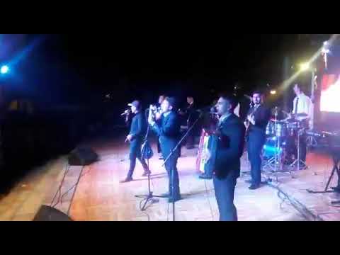 Chanchi y Los Autenticos en vivo | Mala Artista