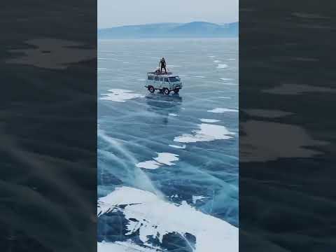 Video: Baikal, wildlife. Lawa ng Baikal, Russia