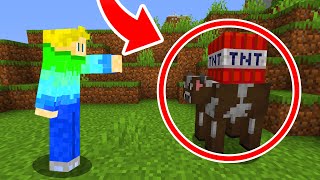 Minecraft, But Every Mob Explodes