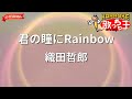 【ガイドなし】君の瞳にRainbow/織田哲郎【カラオケ】