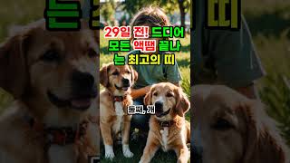 29일 전! 드디어 모든 액땜이 끝나는 최고의 띠 #재물운 #로또 #오늘의운세 #띠별운세 #풍수 #운세 #궁…