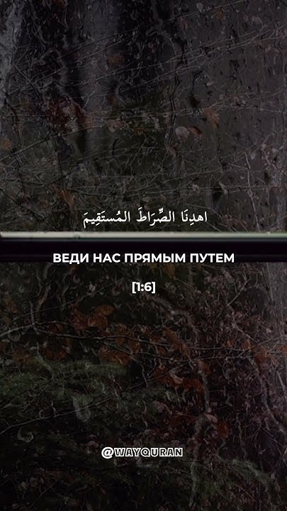 КРАСИВОЕ ЧТЕНИЕ КОРАНА! СУРА "АЛЬ-ФАТИХА" / МИШАРИ РАШИД #чтениекорана ...