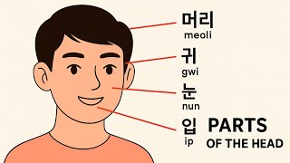 🇰🇷 Learn Korean Vocabulary: Parts of the Head Pronunciation