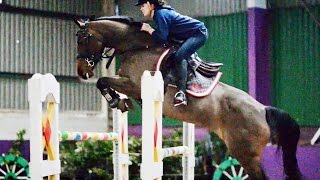 Kes jumping up to 1M30