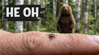 Самое опасное существо в России — не медведь и не волк
