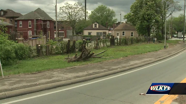 Old Louisville neighbors upset over tree cutting, activists warn it could become more common