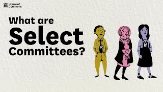 What are select committees?