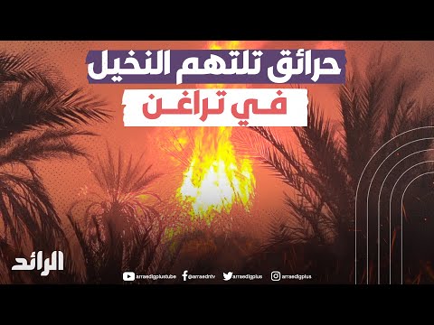 حرائق تلتهم النخيل في تراغن