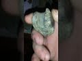 all three found in Mitchell County North Carolina
