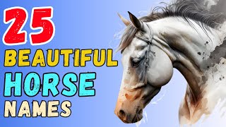 Top 25 Best Beautiful Names For Horses & Ponies