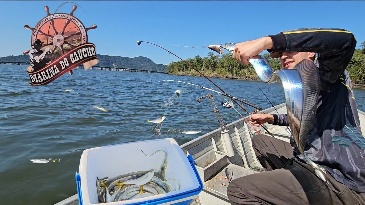 Cardume de SALTEIRA deu um SHOW na PESCARIA no POÇÃO