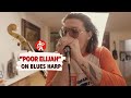 Capture de la vidéo Poor Elijah Loves The Hohner Blues Harp