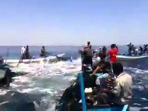 لبيك ياغزة