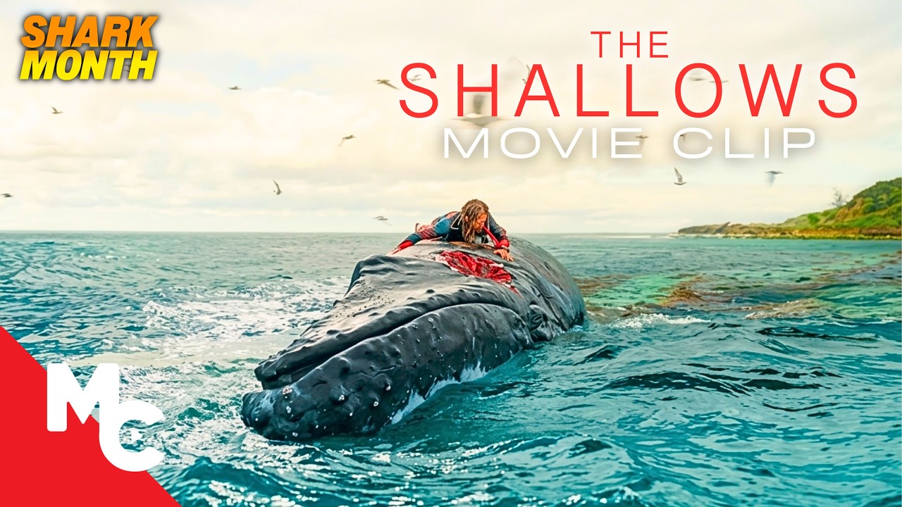 Blake Lively Stranded On A Rock Just 200 Yards From Safety | The Shallows Movie Clip | Shark Month