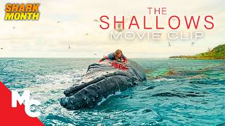 Blake Lively Stranded On A Rock Just 200 Yards From Safety | The Shallows Movie Clip | Shark Month