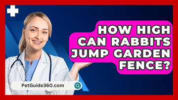 How High Can Rabbits Jump Garden Fence? - PetGuide360.com