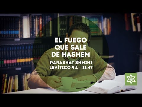 El fuego que sale de Hashem - #Shmini 5778