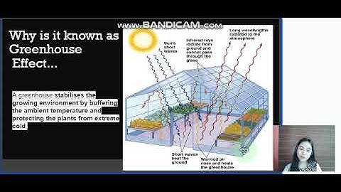 Atmosphere & Air Pollution (Part 3)