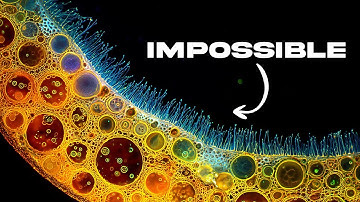 The Moment Life Discovered Teamwork