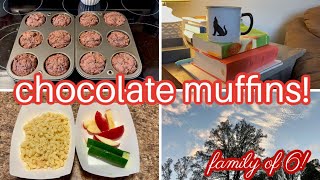 Chocolate Muffins More