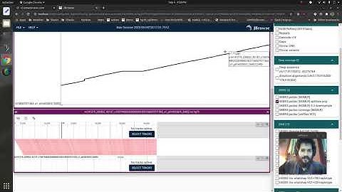 JBrowse 2 demo - long read vs reference