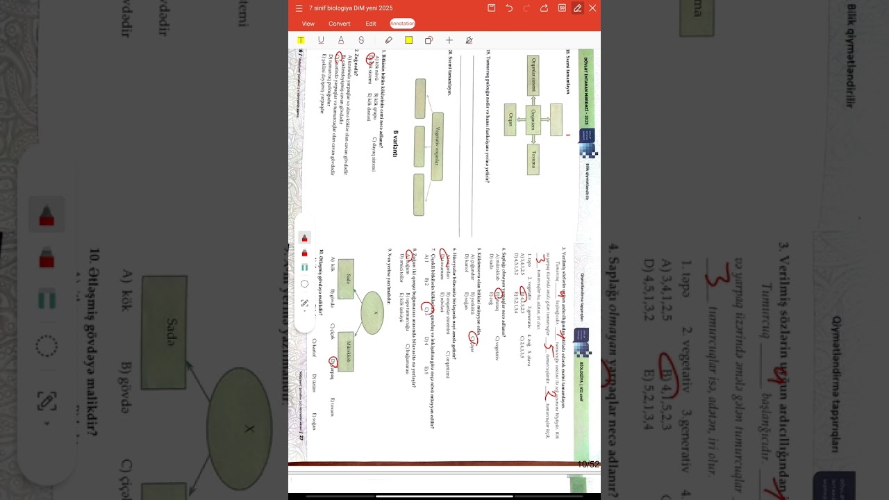 7 sinif biologiya DİM yeni dərslik əsasında .Bitki orqanizmi.Variant B #keşfet #education #kəsfet 