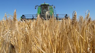 Australia taking China to WTO over barley sanctions