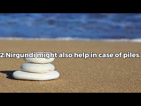 uses of nirgundi  (vitex negundo