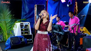 Download Lagu CAMELIA MUSIC - SURAT TERAKHIR EVA AQUILA - WEDDING PARTY SYAHAL DAN MILLA - GABUS MP3