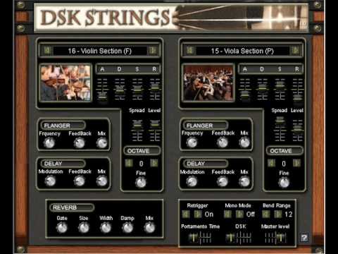 dsk strings