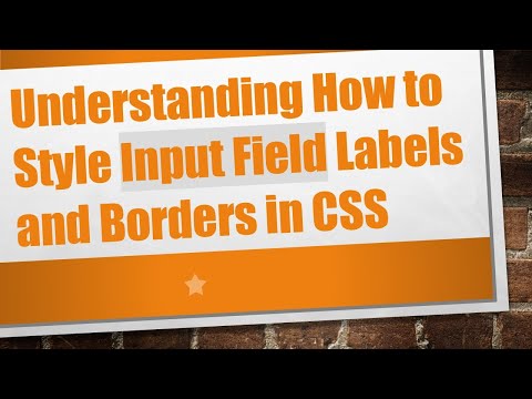 Understanding How to Style Input Field Labels and Borders in CSS