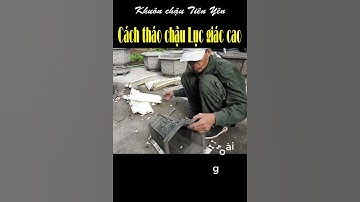 Cách tháo chậu Lục giác dáng cao #shorts #short