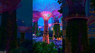 Gardens By The Bay Singapore Sightseeing Places Gardens By The Bay Singapore Super Tree