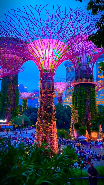 gardens by the bay | Singapore sightseeing places | Gardens by the bay Singapore | Super tree