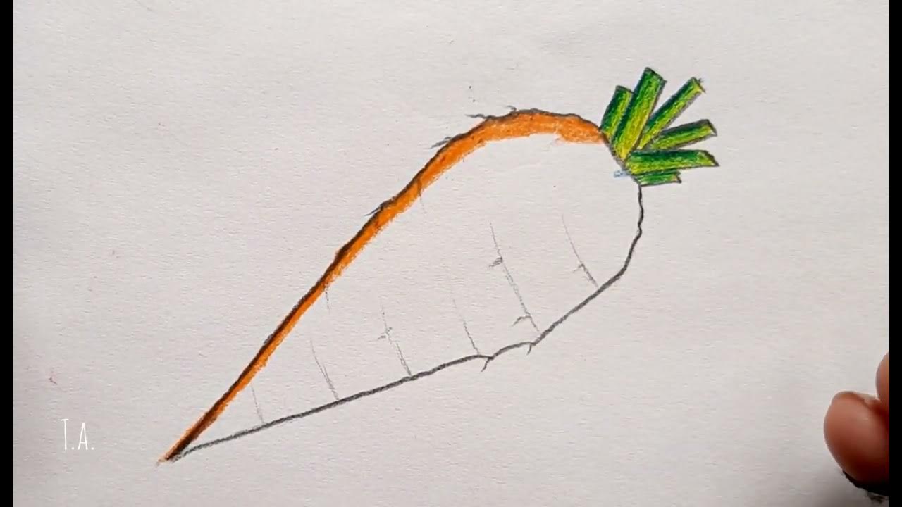 How to draw carrot step by step for beginners // easy carrot drawing