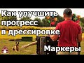 Собака будет схватывать на лету / Как ускорить прогресс в дрессировке/ маркер "ДА" и маркер "НЕТ"