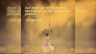 İnsan Sabır İle İnsandır Sabır İse Sırdır Ardır Sınavdır... Hazreti Mevlana Resimi