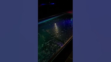 Zodiac-ở ngoài nho nhỏ, bên trong toto | Càn Quét Sài Gòn