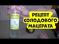 Рецепт солодового мацерата на аппарате (Люксталь 7М)