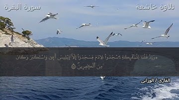تلاوة خاشعة سورة البقرة للقارئ الوزاني