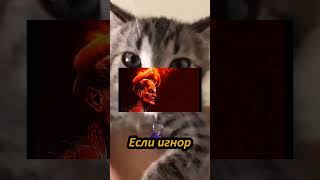 Хочешь? #рек #рекомендации #выбери #кот #котик #shorts #tiktok #собака