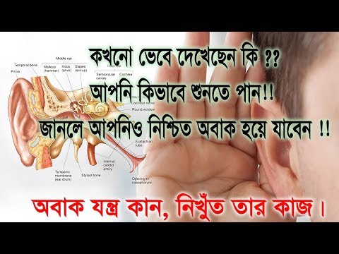 আমরা কিভাবে শব্দ শুনি | How do we hear sound  | with TRIPPER MOSTAFIZ