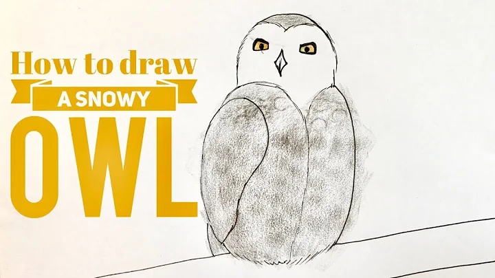 Beginners - How to Draw a Snowy Owl