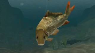 Grand Fishing Tour replay: Hey! Look my Carp with 39.7Kg! :3 screenshot 5