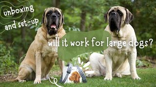 Will SpotOn GPS Dog Fence Work for Large Dogs? | Unboxing & Wireless Fence Setup [INITIAL REACTION]